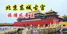 狂插老外屁眼在线观看中国北京-东城古宫旅游风景区